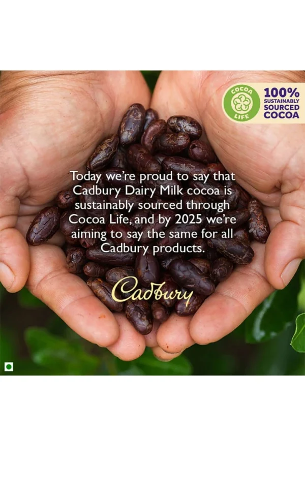CADBURY DAIRY MILK CHOCOLATE FAMILY PACK 123GM