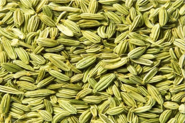 ZIPPER PREMIUM--SAUNF/FENNEL SEEDS 100GM